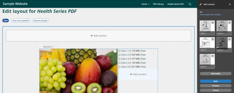 Downloadable File Preview