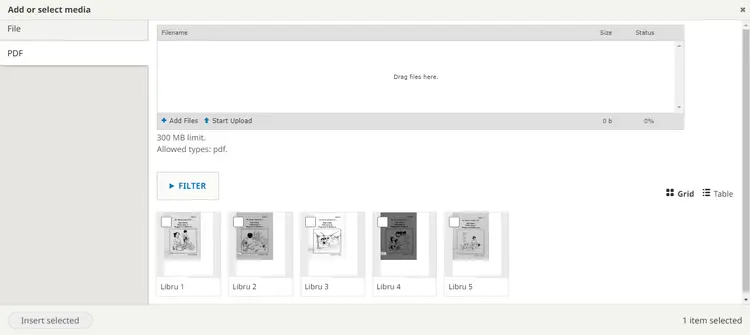 Downloadable File Select Files