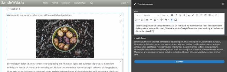 Translate Text