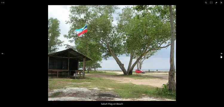 Gallery Single Image