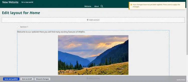 Image Preview Full Page