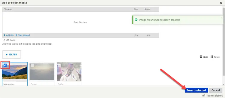 Insert Selected Image