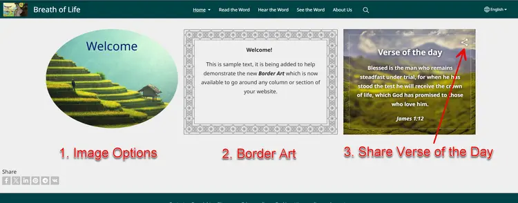 new options in Wildfire